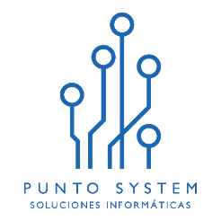 Punto System
